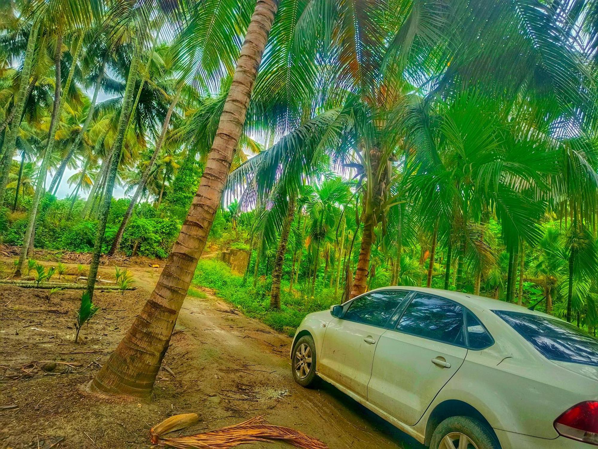 Shivalaya Farmstay Located Amdist Coconut Farm With River Access Near Isha,Adiyogi,Siruvani Alandurai Exterior photo